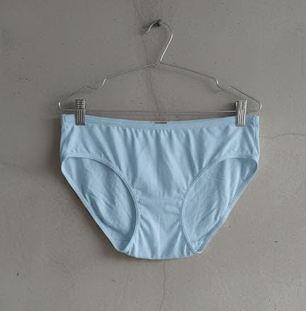 Ladies Panty